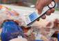 Preview: Anwendung Klappthermometer TLC 750i Preview: Anwendung Klappthermometer TLC 750i